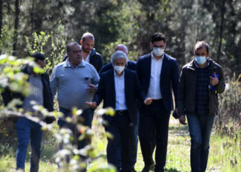 “Life” vai minimizar efeitos das alterações climáticas