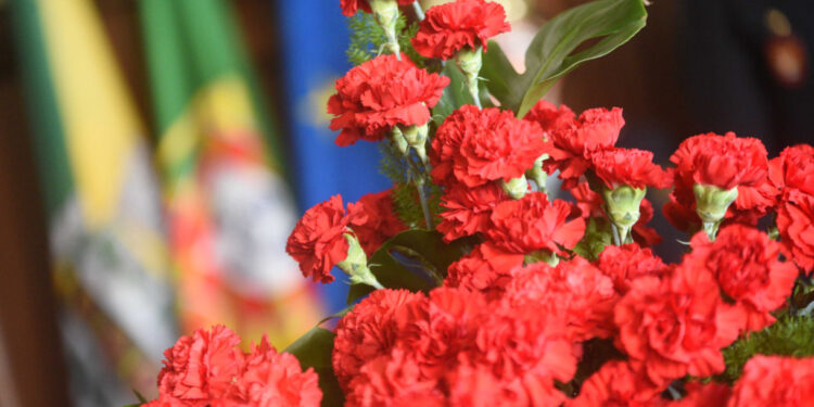 Famalicão promove comemorações do 25 de Abril