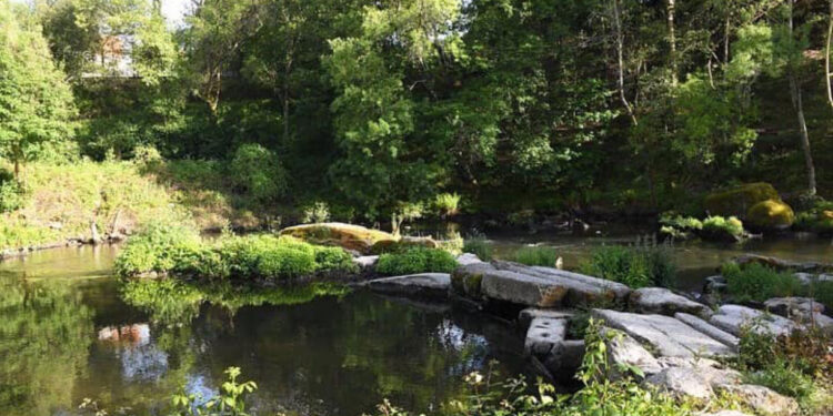 Presidência de Proximidade em Oliveira Santa Maria