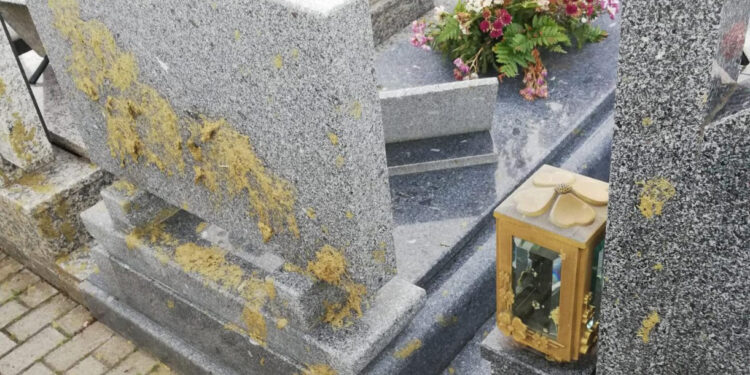 Vandalismo e furto em Oliveira São Mateus