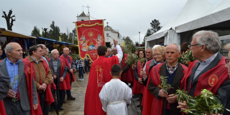 Mostras Comunitárias estão de regresso