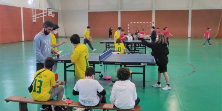 Desporto Escolar na Didáxis