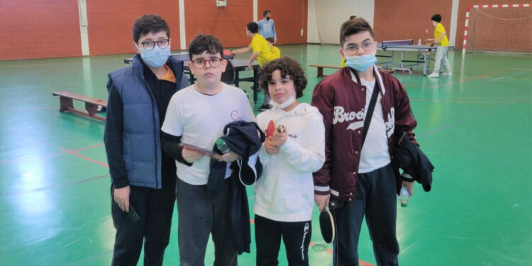 Desporto Escolar na Didáxis