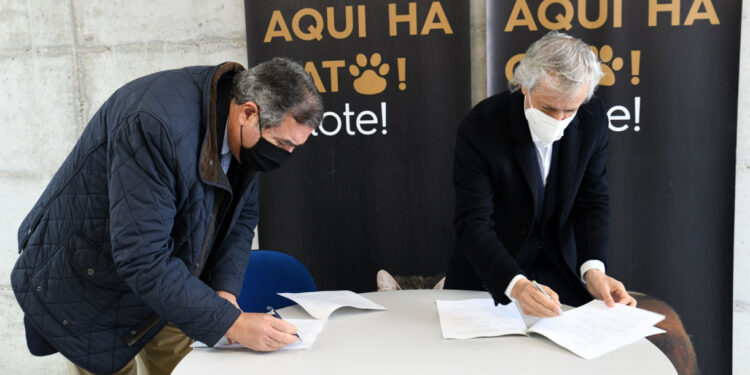 Reforçada a verba para cheques veterinários