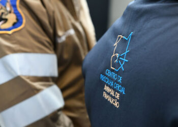 Reforçada a verba para cheques veterinários