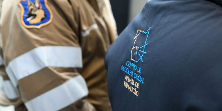 Reforçada a verba para cheques veterinários