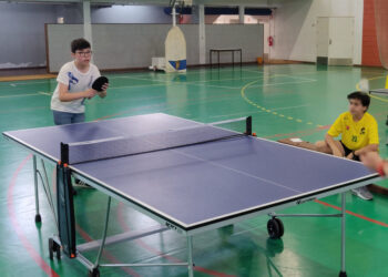 Desporto Escolar na Didáxis