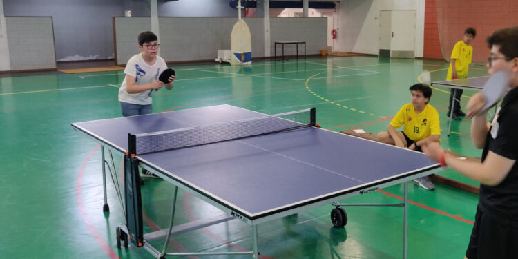 Desporto Escolar na Didáxis