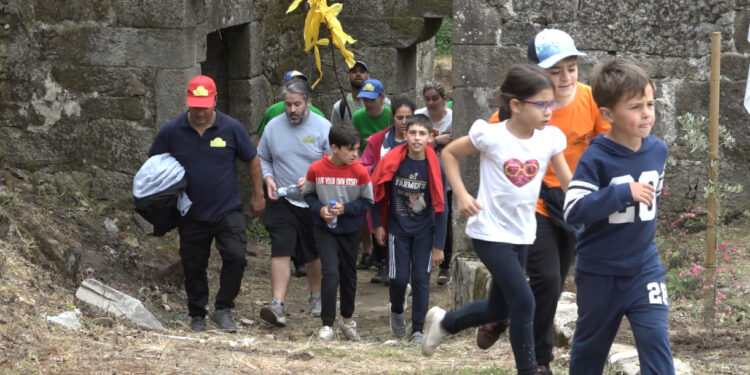 4 rodas vão proteger o ambiente