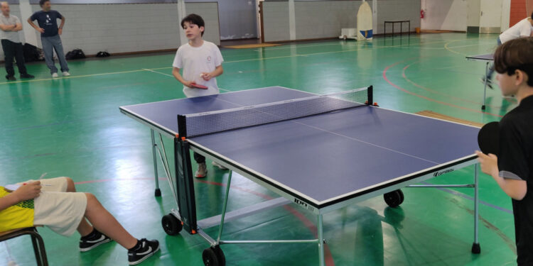 Desporto Escolar na Didáxis