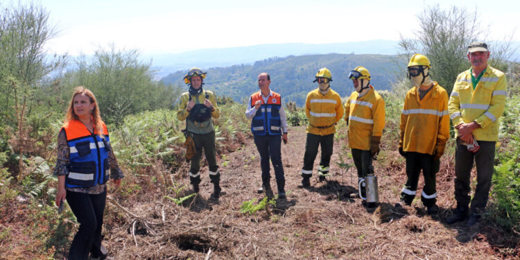 Prevenir incêndios florestais 