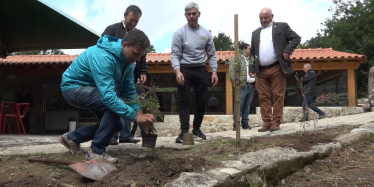 4 rodas vão proteger o ambiente