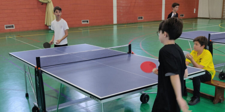 Desporto Escolar na Didáxis