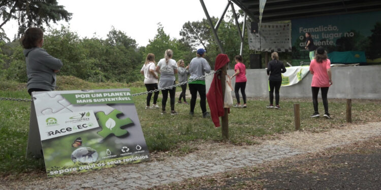 4 rodas vão proteger o ambiente