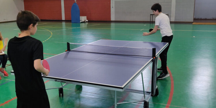 Desporto Escolar na Didáxis