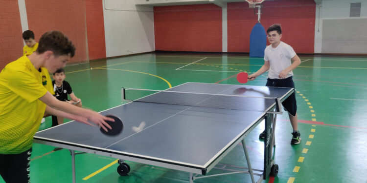 Desporto Escolar na Didáxis