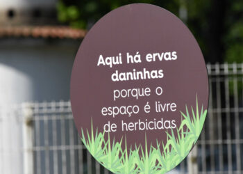 Práticas sustentáveis na gestão dos espaços verdes
