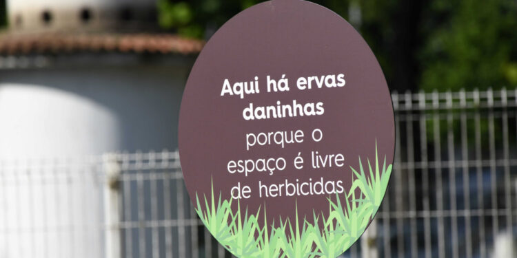 Práticas sustentáveis na gestão dos espaços verdes