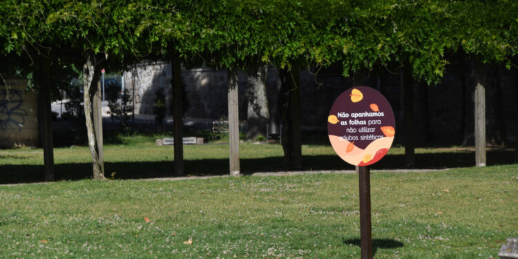 Práticas sustentáveis na gestão dos espaços verdes