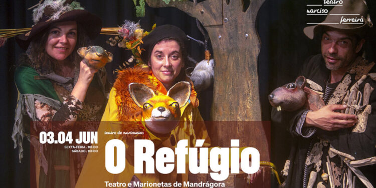 TNF dedica programação às crianças