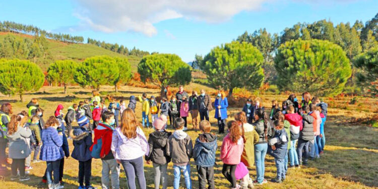 Vila Verde é “Amiga das Crianças”