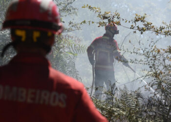 Famalicão: Bombeiros com mais capacidade de resposta