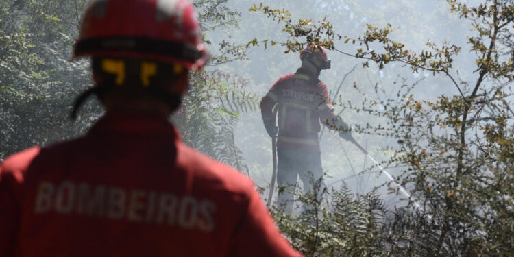 Famalicão: Bombeiros com mais capacidade de resposta