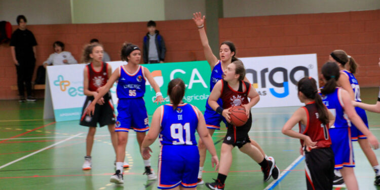 FamaBasket: Formações Sub-14 e Sub-16 em destaque