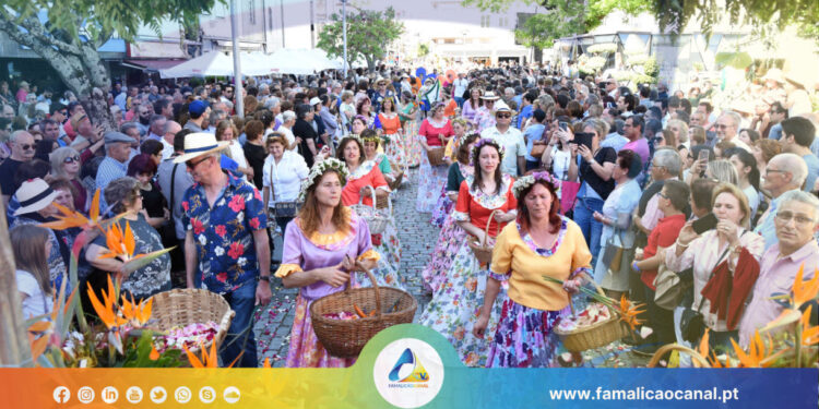 Mais de 700 famalicenses na Batalha das Flores