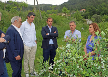 Granizo e pedraço afeta agricultores