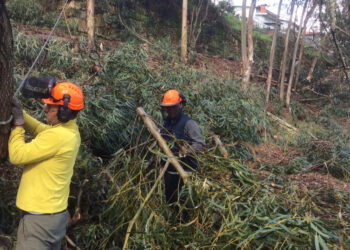 Vila Verde garante apoio aos Bombeiros Voluntários