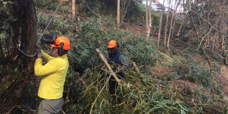 Vila Verde garante apoio aos Bombeiros Voluntários