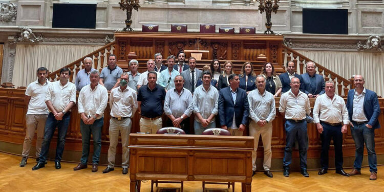 Assembleia da República aprova voto de pesar