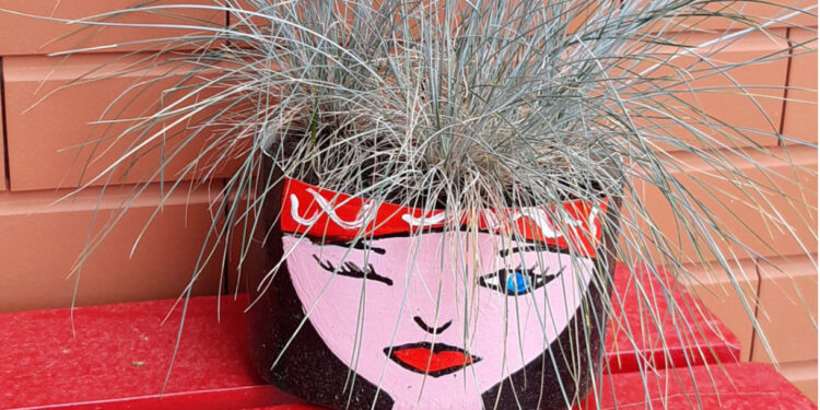 Biodiversidade nas escolas