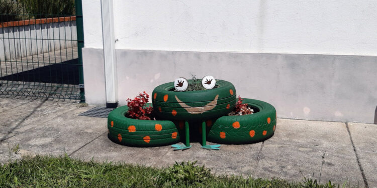 Biodiversidade nas escolas