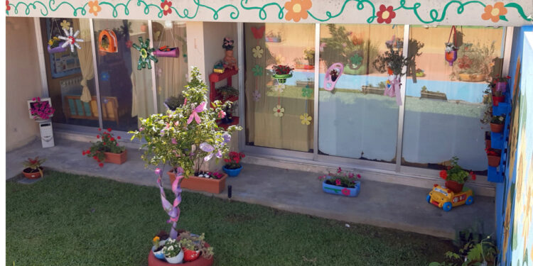 Biodiversidade nas escolas