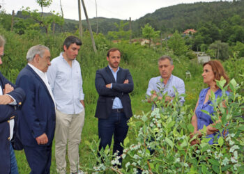 Agricultores sem resposta aos prejuízos