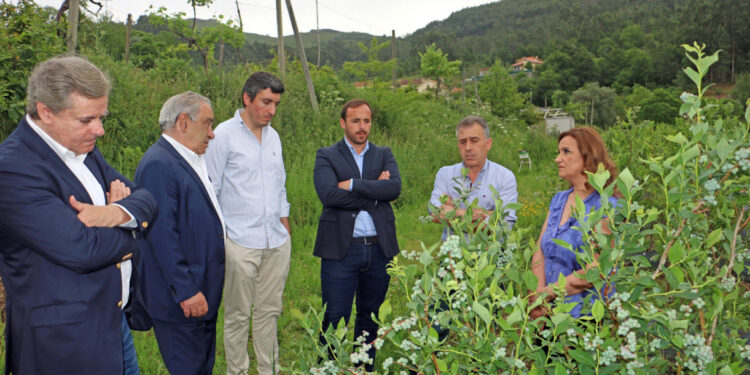 Agricultores sem resposta aos prejuízos
