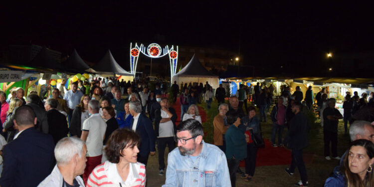 Verdadeiro convívio delaense