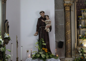 D. José Cordeiro preside à Missa de Santo António