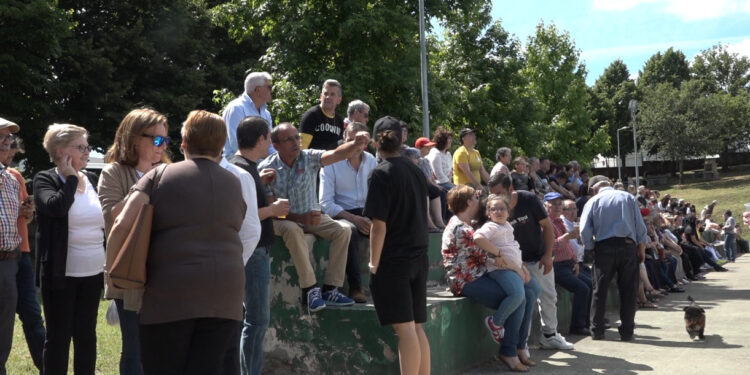 “S. Mateus em Ação” uniu o desporto à solidariedade