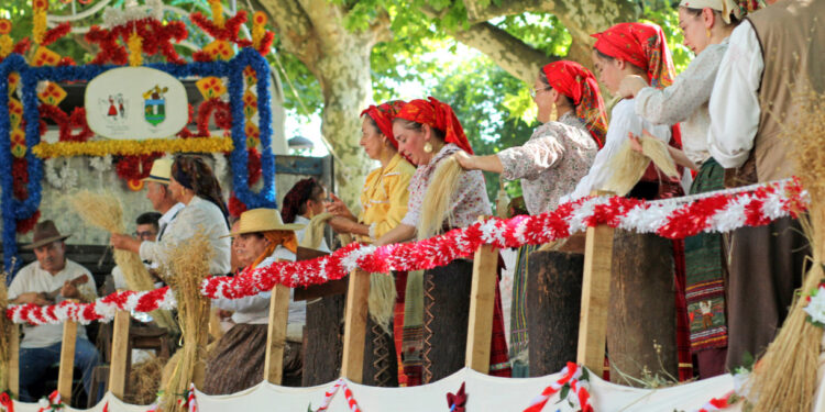 Vila Verde: Festas antoninas comprovam dinamismo