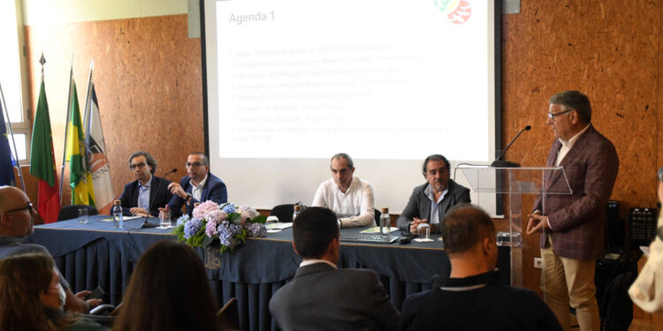 Conciliar o desporto com a educação