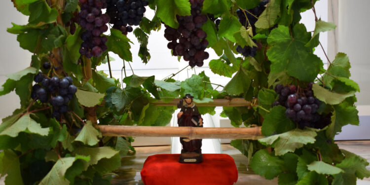 Antas: Programa “arrojado” atraiu comunidade