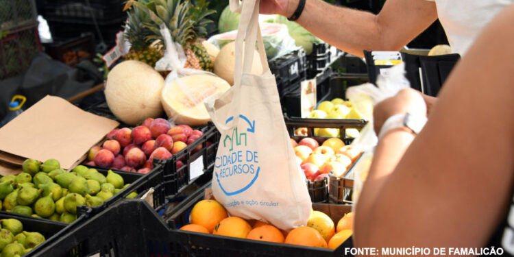 Mudar hábitos por um planeta mais saudável