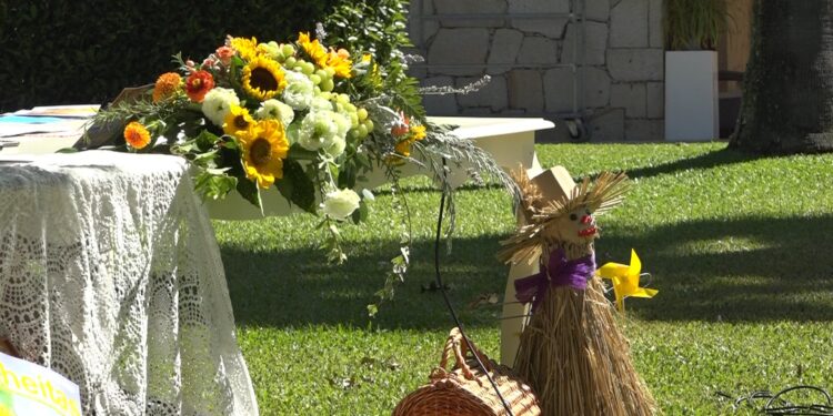 Vila Verde na rota das colheitas