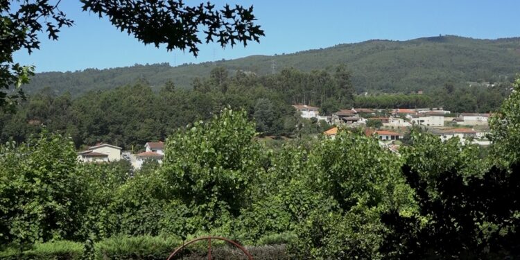 Vila Verde na rota das colheitas