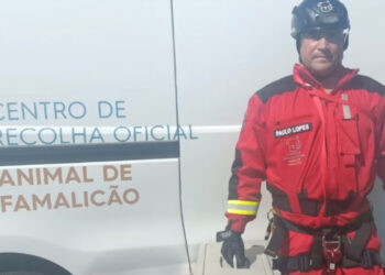 Mais um resgate de sucesso do Centro de Recolha Animal