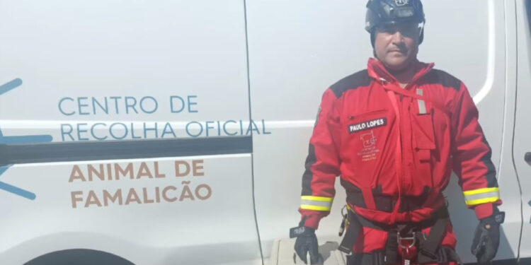 Mais um resgate de sucesso do Centro de Recolha Animal