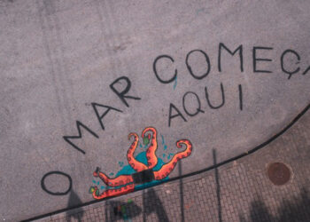 Didáxis participa na iniciativa “O Mar Começa Aqui”